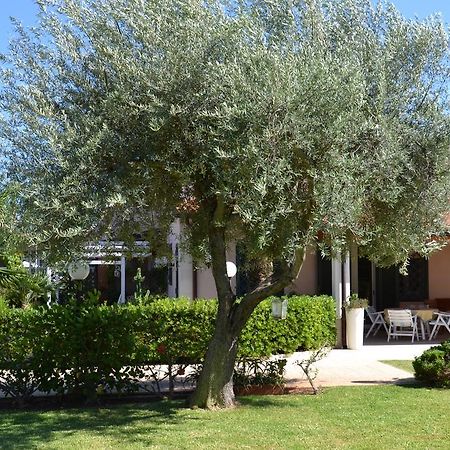 Villa Paola Fontane Bianche Bagian luar foto